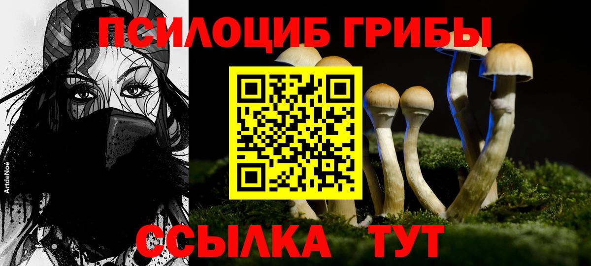 Галлюциногенные грибы прущие грибы  Вход с VPN  Уссурийск  Псилоцибиновые грибы прущие грибы 